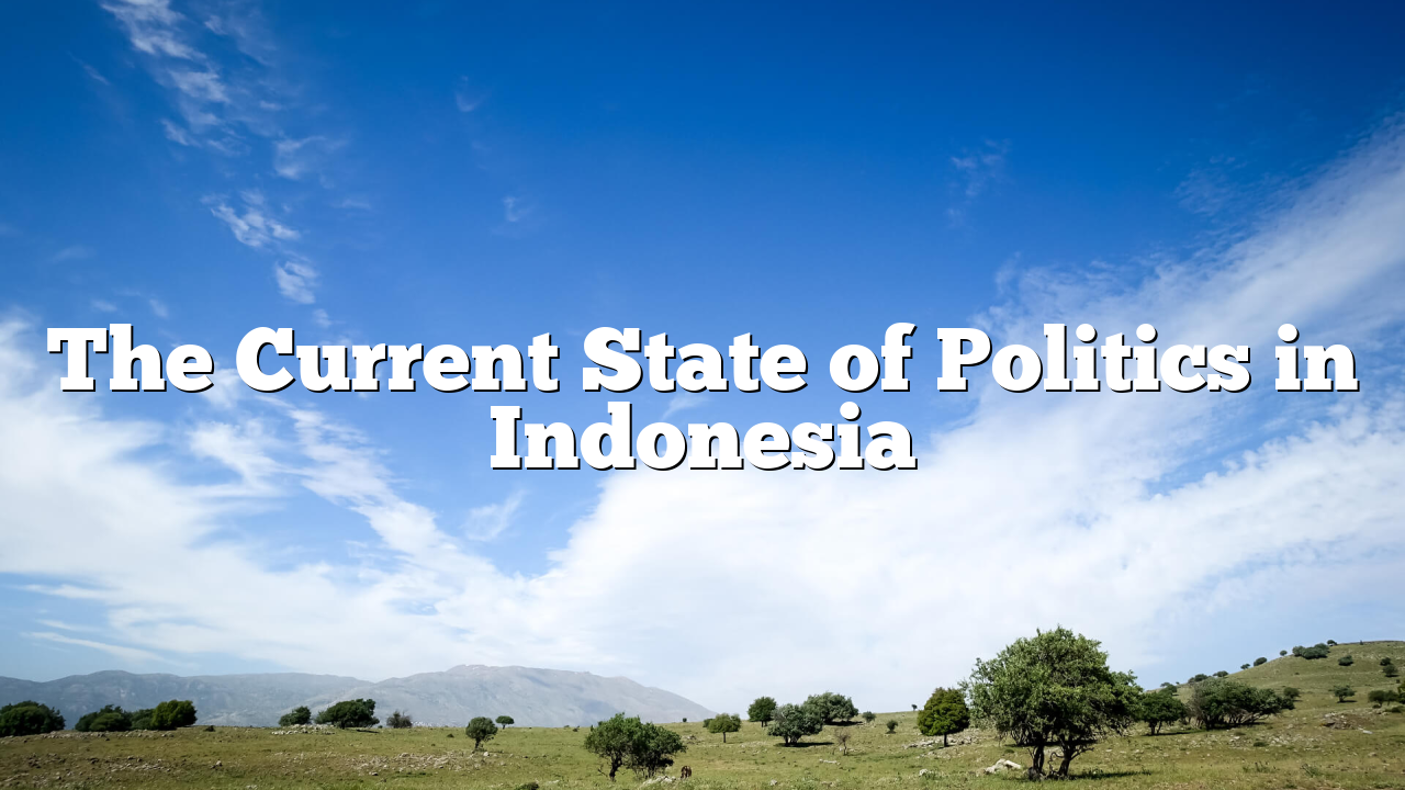 The Current State of Politics in Indonesia